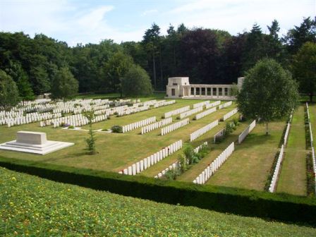 Polygon wood
